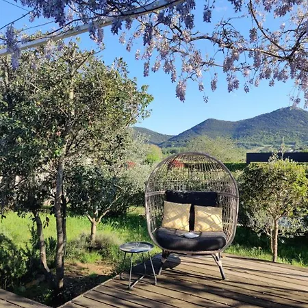 Caroux Tatil Evi *